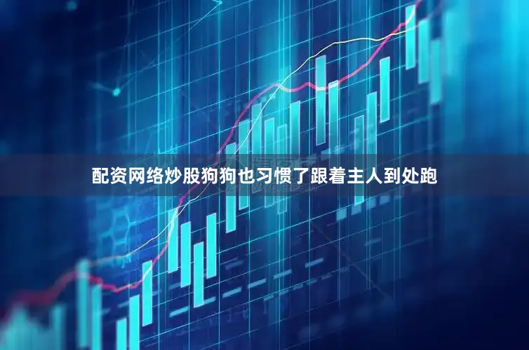 配资网络炒股狗狗也习惯了跟着主人到处跑