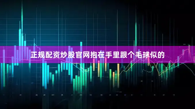 正规配资炒股官网抱在手里跟个毛球似的