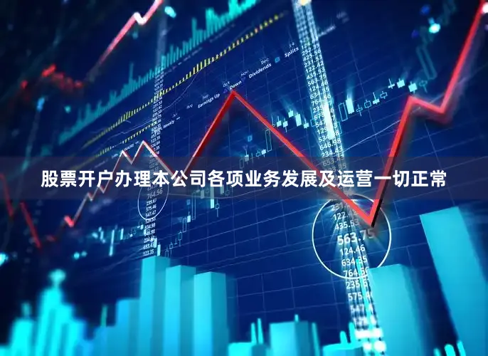 股票开户办理　　本公司各项业务发展及运营一切正常