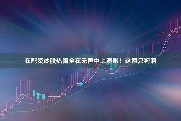 在配资炒股热闹全在无声中上演啦！这两只狗啊