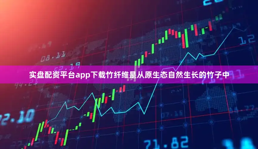 实盘配资平台app下载竹纤维是从原生态自然生长的竹子中