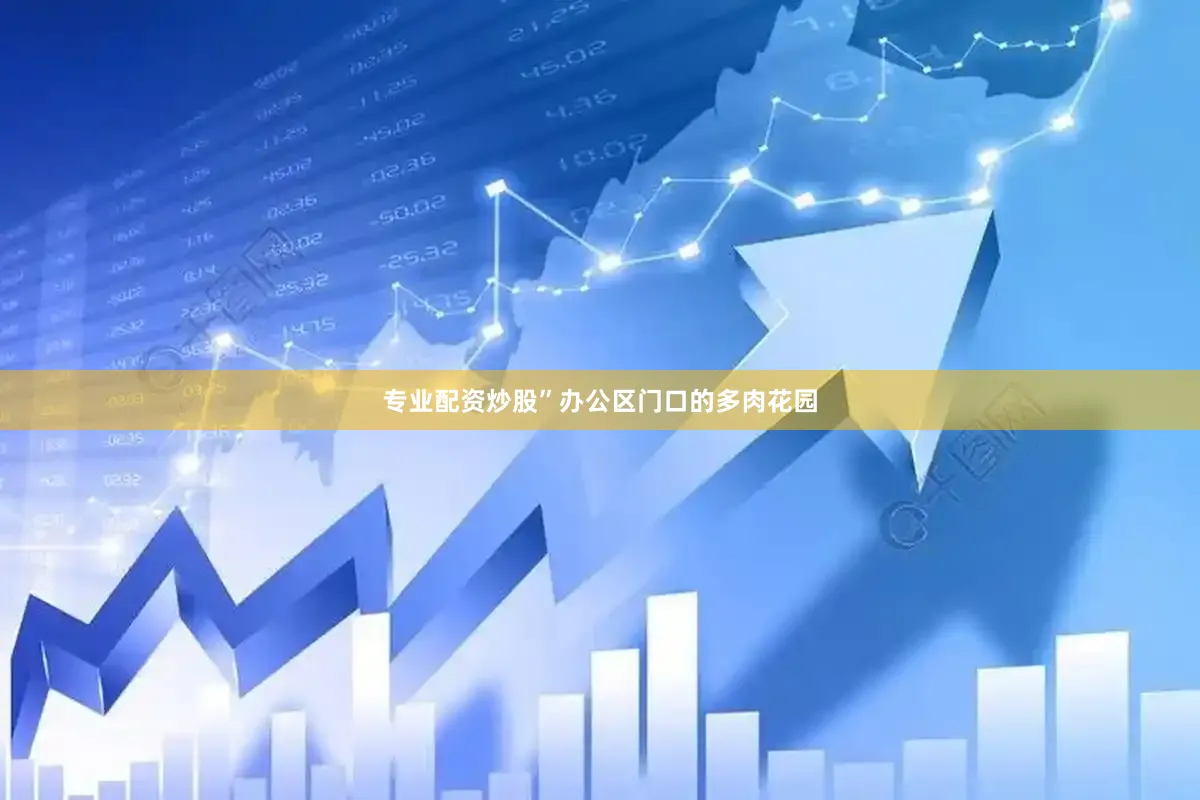 专业配资炒股”办公区门口的多肉花园